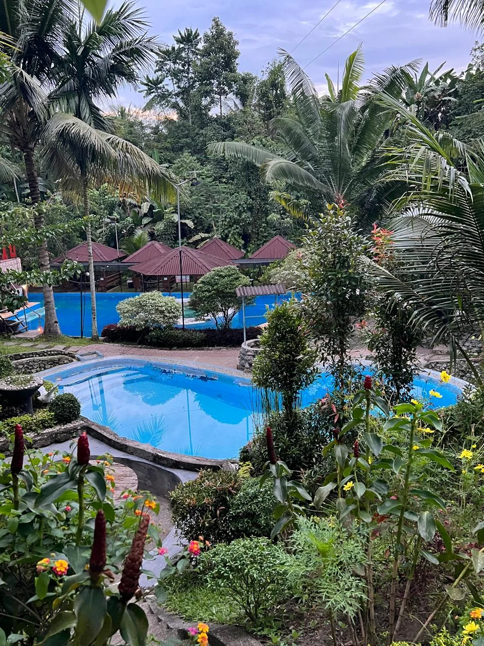 WhatsApp Image 2024-11-21 at 13.24.40_80ab5df7